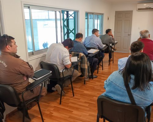 Curso-Piloto-2024-1